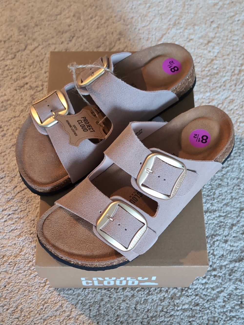 Project Cloud Double-Buckle Slide Sandals - Blush Pink